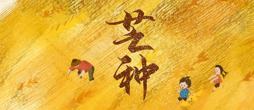 二十四节气｜芒种